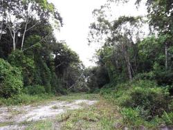 imoveis em Itapoá